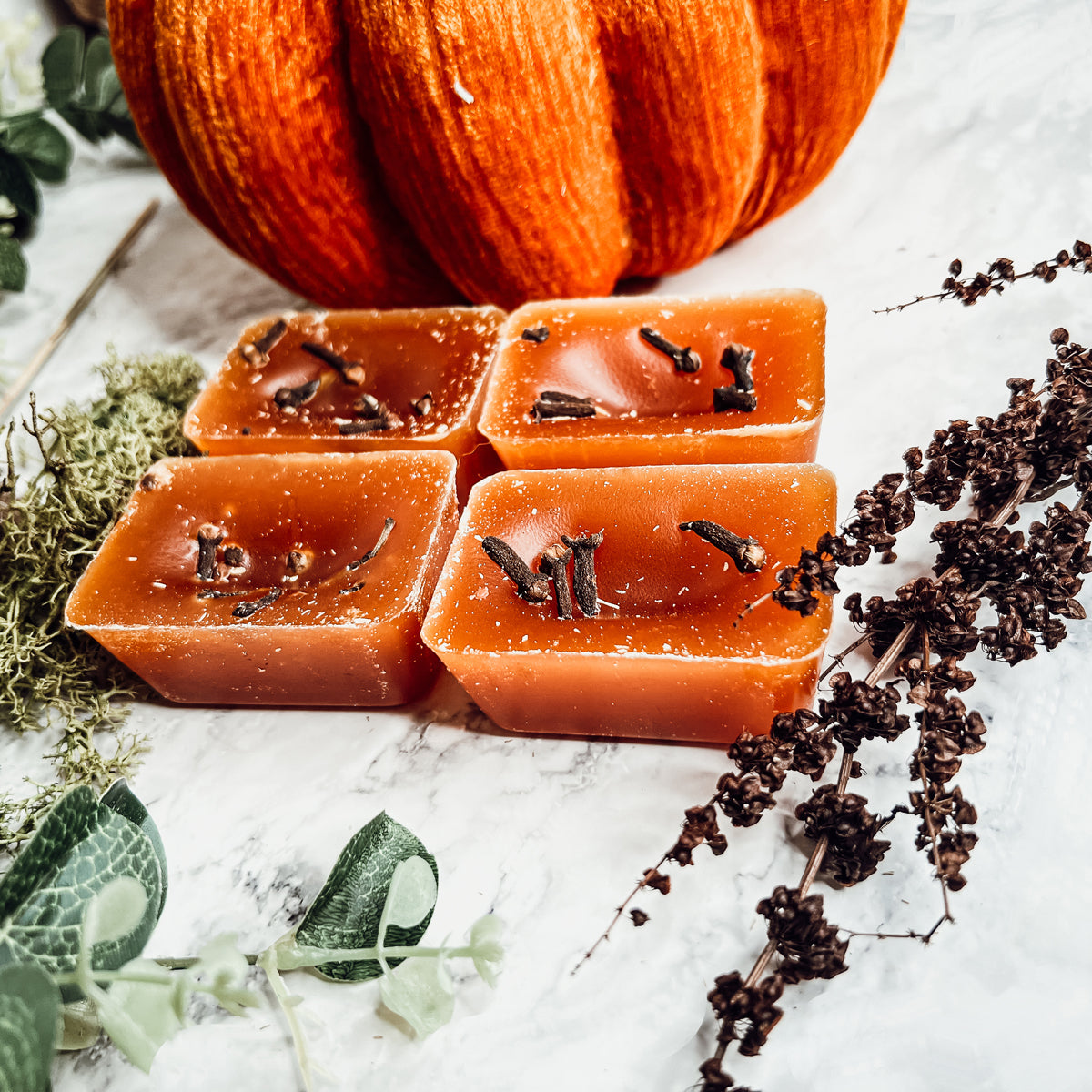 Fall Clove XL