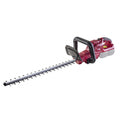 Raider R20 Trimmer gard viu 20V 51cm 15mm SOLO RDP-SCHT20 R20 - O baterie, multe posibilitati!