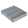 Raider Set 1000 de capse galvanizate tip 55 1.08mm 14-25mm pentru capsator electric R20 - O baterie, multe posibilitati!