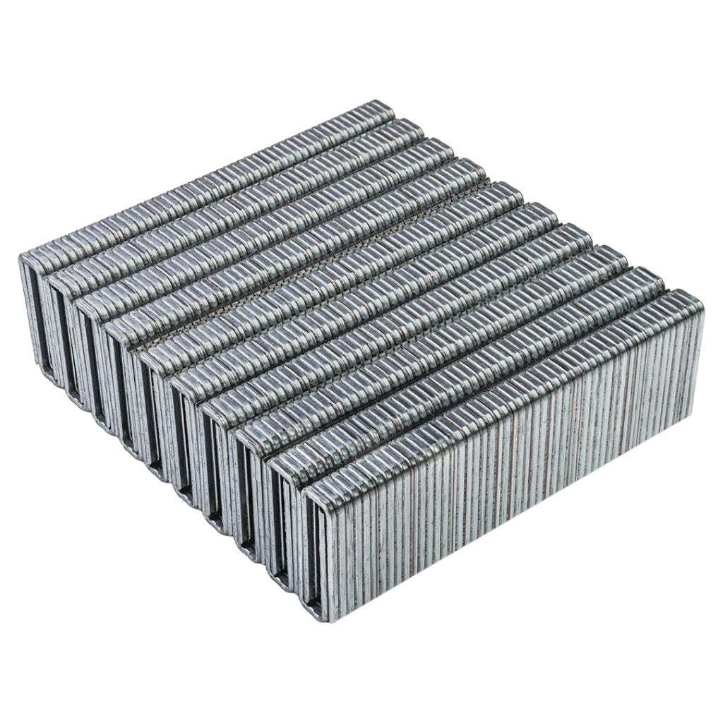 Raider Set 1000 de capse galvanizate tip 55 1.08mm 14-25mm pentru capsator electric R20 - O baterie, multe posibilitati!
