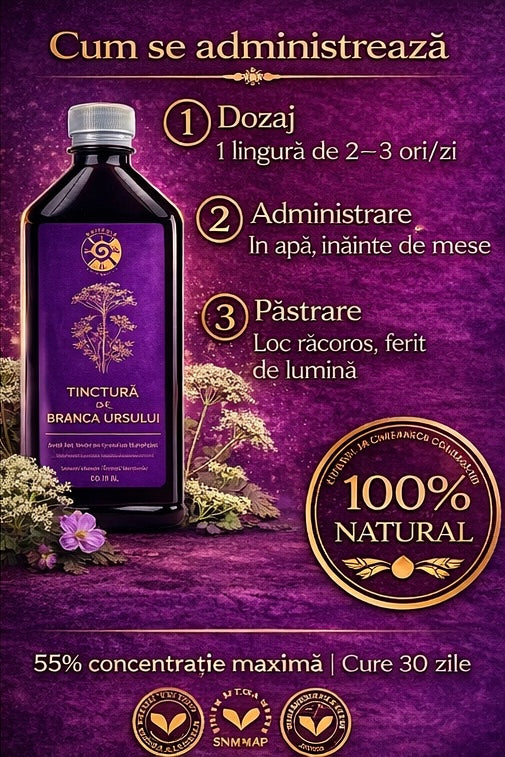 Tinctură de Brânca Ursului – Vitalitate, Fertilitate și Echilibru Hormonal | 500ml Spiteria Vraciului