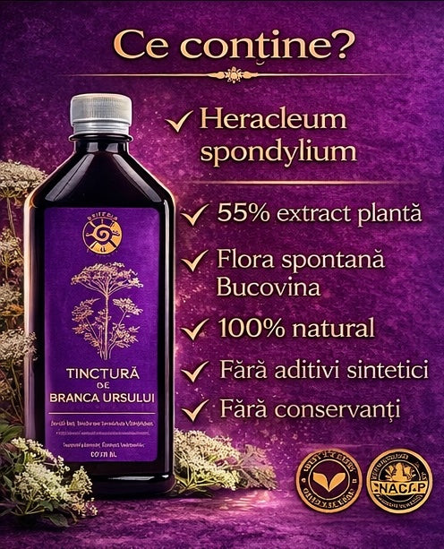 Tinctură de Brânca Ursului – Vitalitate, Fertilitate și Echilibru Hormonal | 500ml Spiteria Vraciului