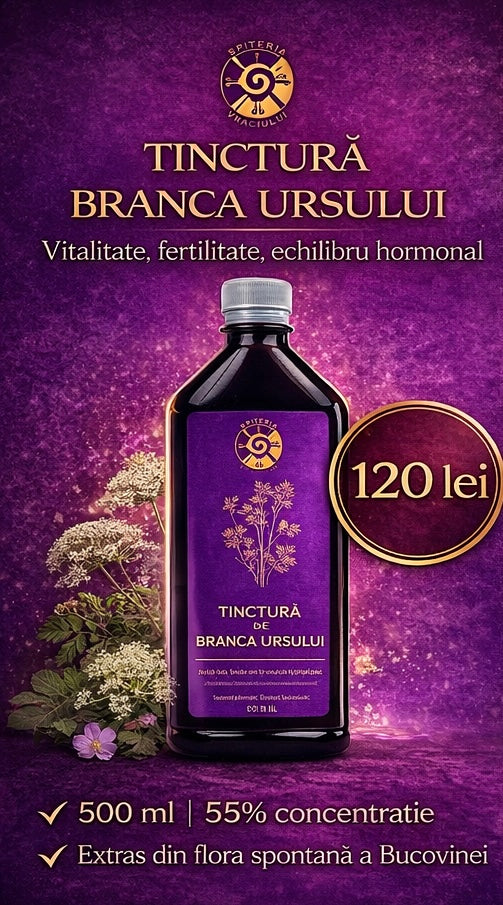 Tinctură de Brânca Ursului – Vitalitate, Fertilitate și Echilibru Hormonal | 500ml Spiteria Vraciului