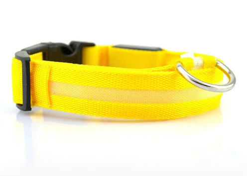Safety Dog LED Collar - Cart2u.ro