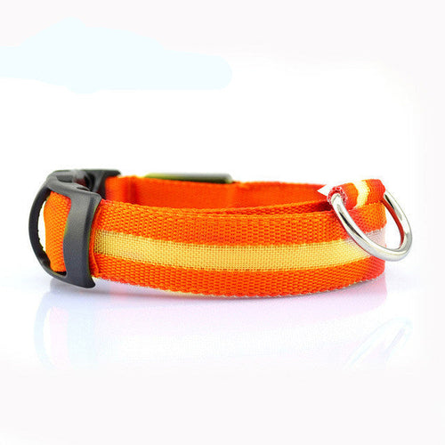 Safety Dog LED Collar - Cart2u.ro