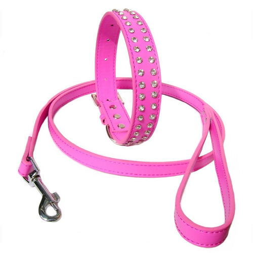 2-Row Collar Lead Set - Hot Pink Salmon Oscar