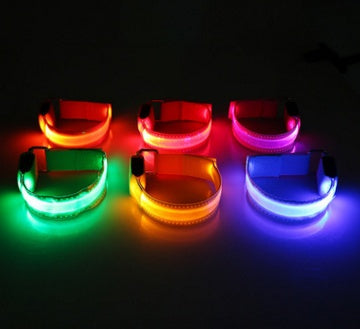 Safety Dog LED Collar - Cart2u.ro