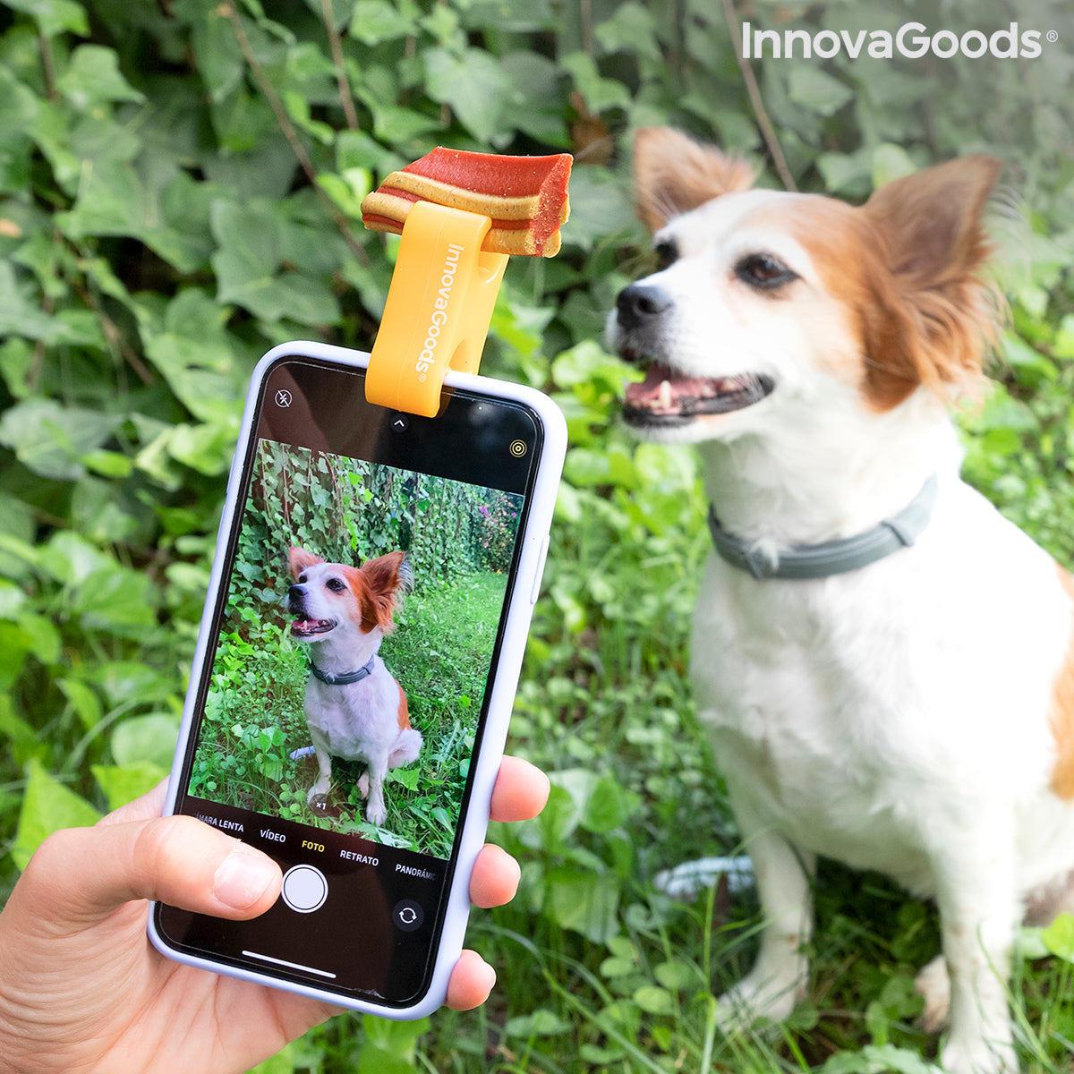 Selfie Clip for Pets Pefie InnovaGoods - Cart2u.ro