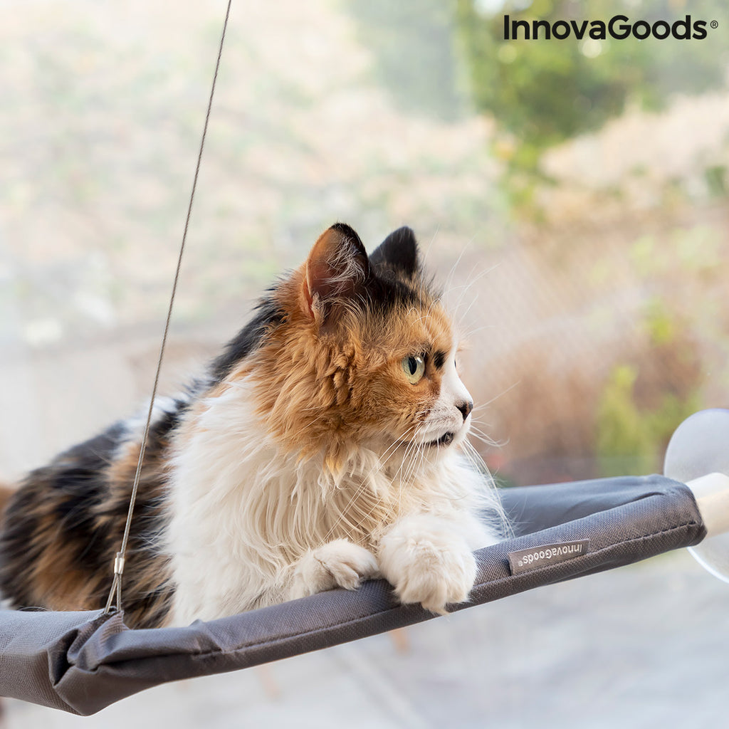 Hanging Cat Hammock Catlax InnovaGoods - Cart2u.ro