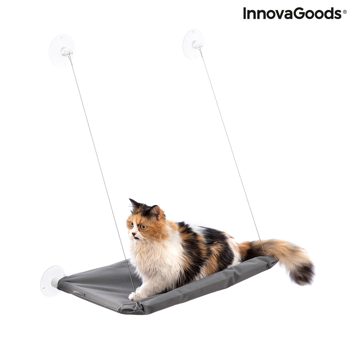 Hanging Cat Hammock Catlax InnovaGoods - Cart2u.ro
