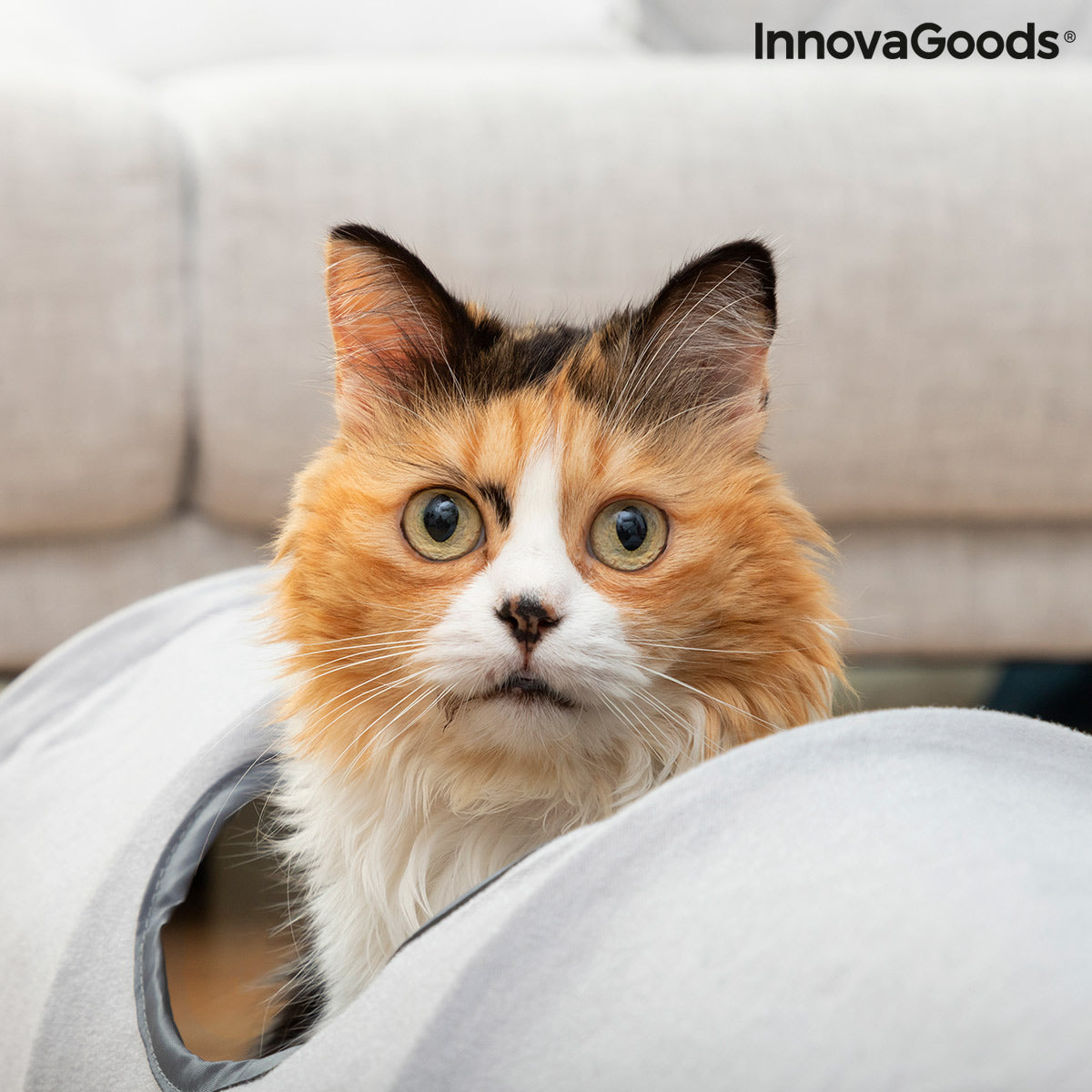 Collapsible Pet Tunnel Funnyl InnovaGoods - Cart2u.ro