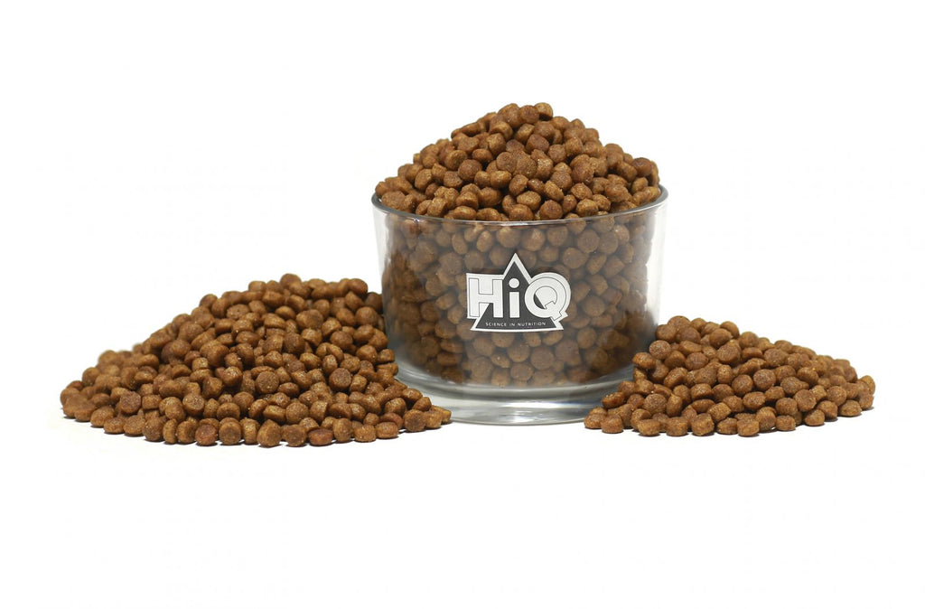 Hrana uscata pentru pisici tinere pe baza de carne de pasare, HiQ Kitten and mother care, 400 g endler