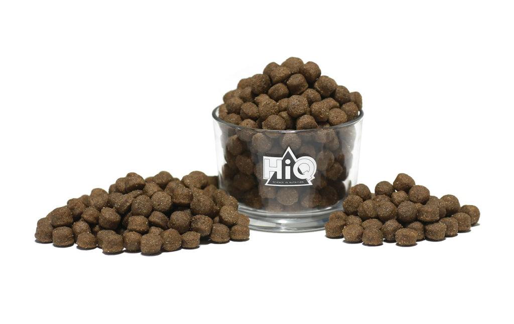 Hrana uscata premium pentru caini adulti cu carne de miel, HiQ All Breed Adult Lamb, 11 kg endler