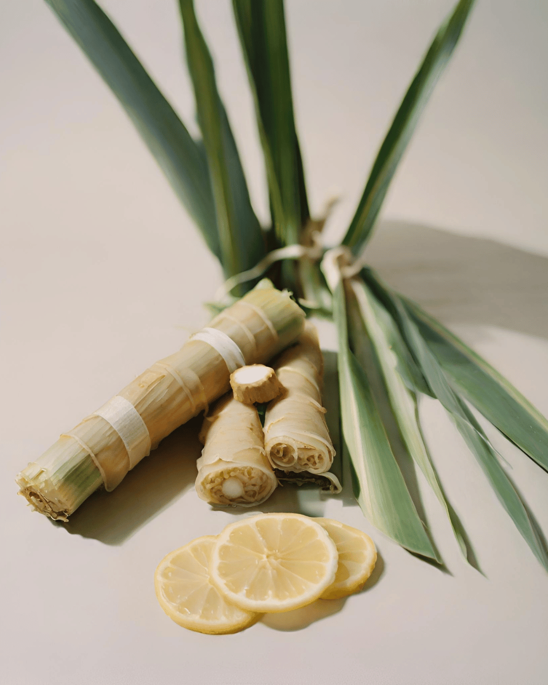 Lumânare parfumată Amber - Cosy Morning - Lemongrass • Ghimbir • Vanilie Little Paris Atelier