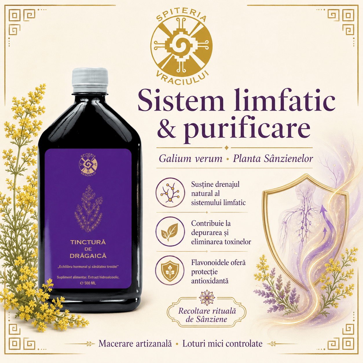 Tinctură de Drăgaică – Echilibru Hormonal și Sănătatea Tiroidei | 500ml Spiteria Vraciului