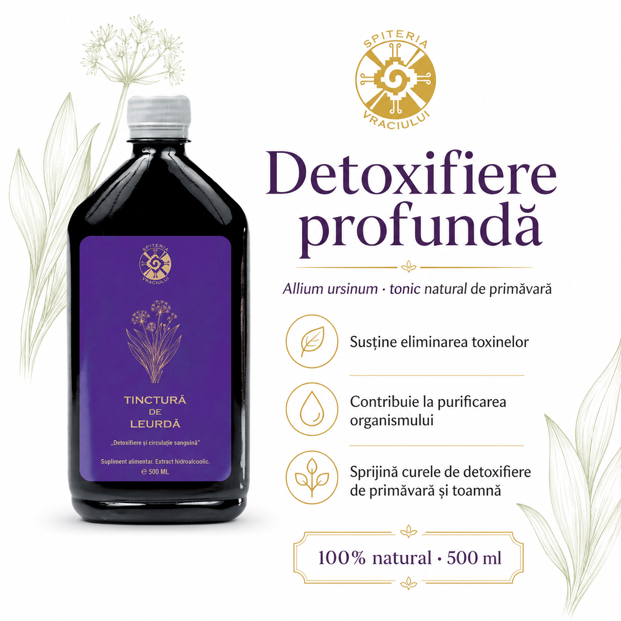 Tinctură de Leurdă – Detoxifiere și Circulație Sanguină | 500ml Spiteria Vraciului