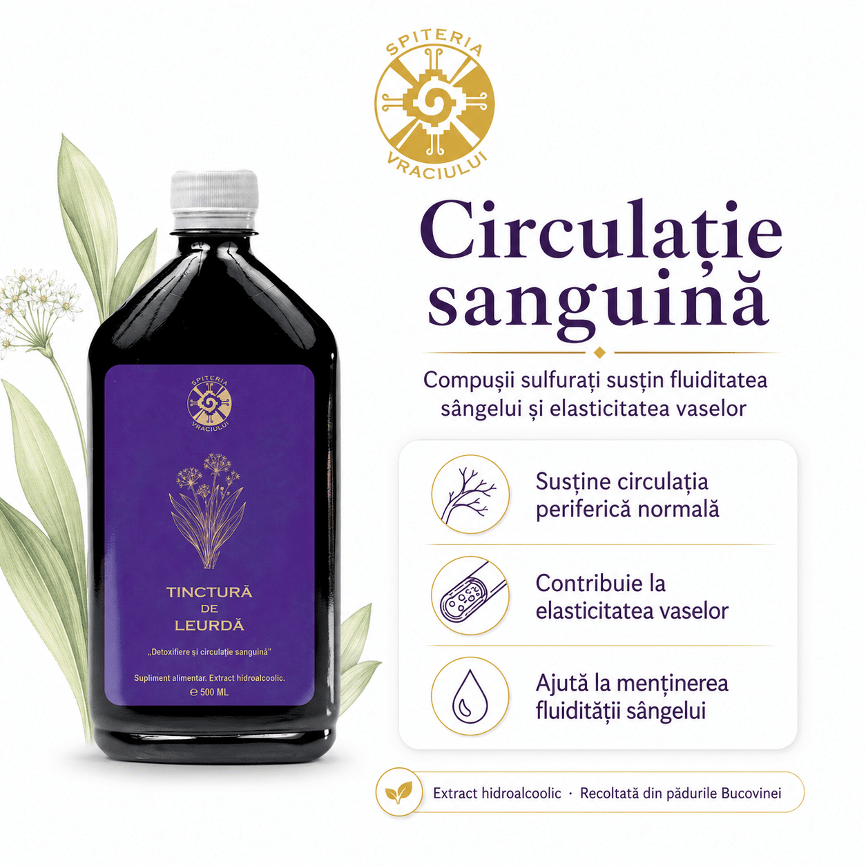 Tinctură de Leurdă – Detoxifiere și Circulație Sanguină | 500ml Spiteria Vraciului