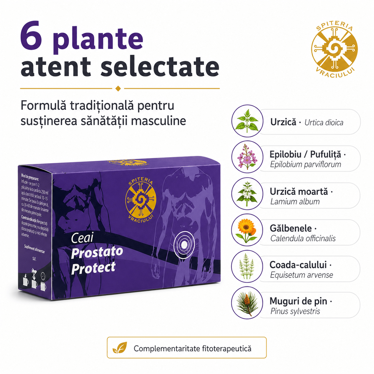 Ceai Natural Prostată – Prostato Protect | Sănătate Urinară Masculină Spiteria Vraciului