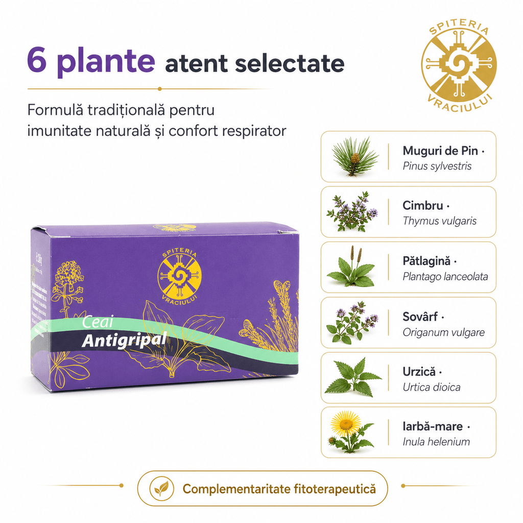 Ceai Antigripal Natural – Remediu Tradițional pentru Răceală și Gripă Spiteria Vraciului
