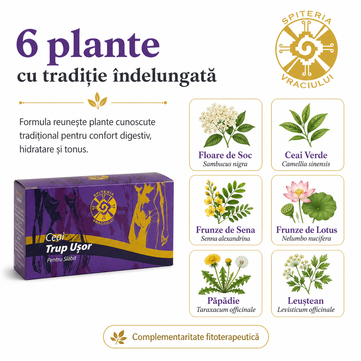 Ceai Natural pentru Slăbit și Detoxifiere – Trup Ușor Spiteria Vraciului