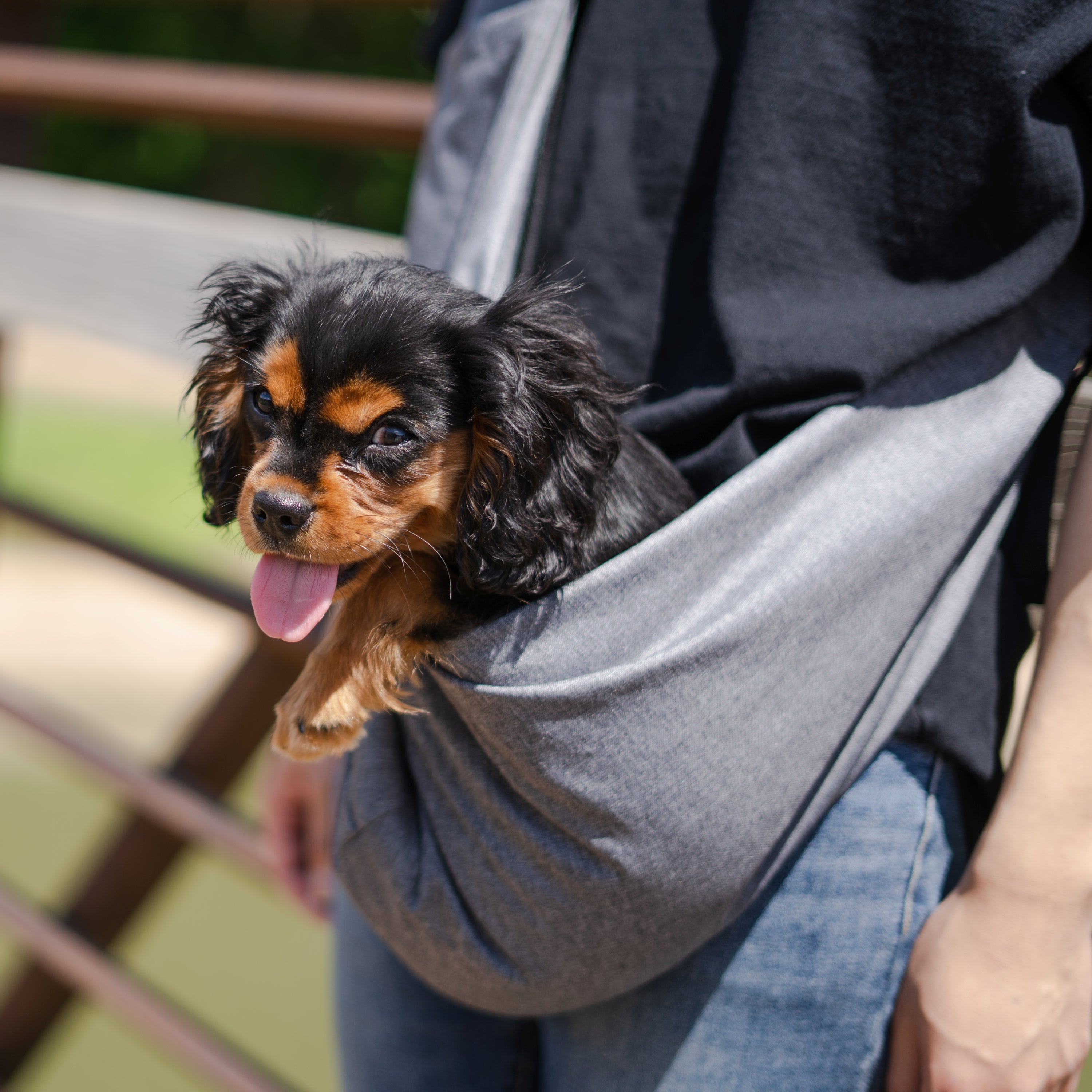 Lof Mesh Pet Sling Bag - Comfortable & Hands-Free Travel for Small - Cart2u.ro