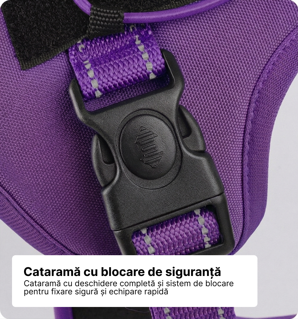 Ham tactic premium Petora pentru câini, ajustabil, reflectorizant, cu mâner ranforsat, mov Petora