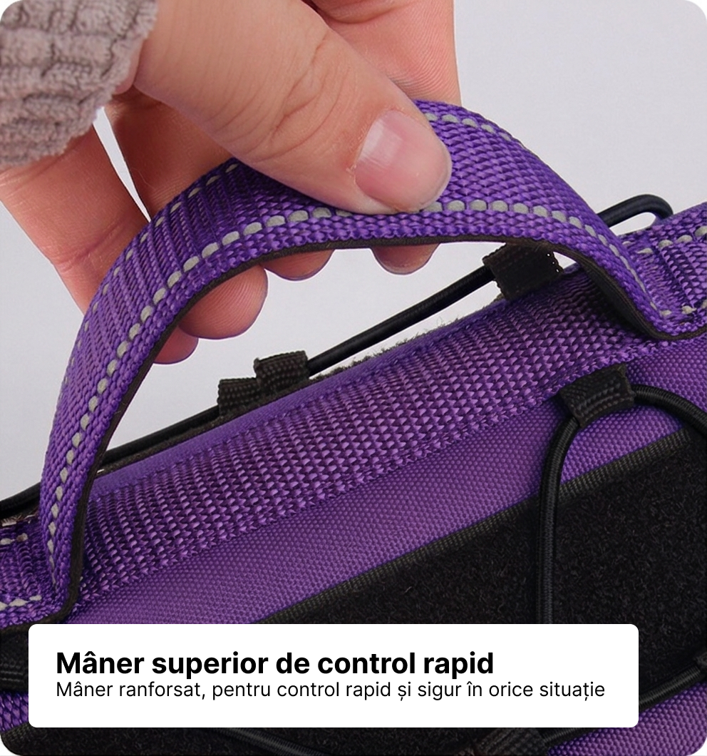 Ham tactic premium Petora pentru câini, ajustabil, reflectorizant, cu mâner ranforsat, mov Petora