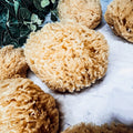 Dead Sea Sponge - Cart2u.ro