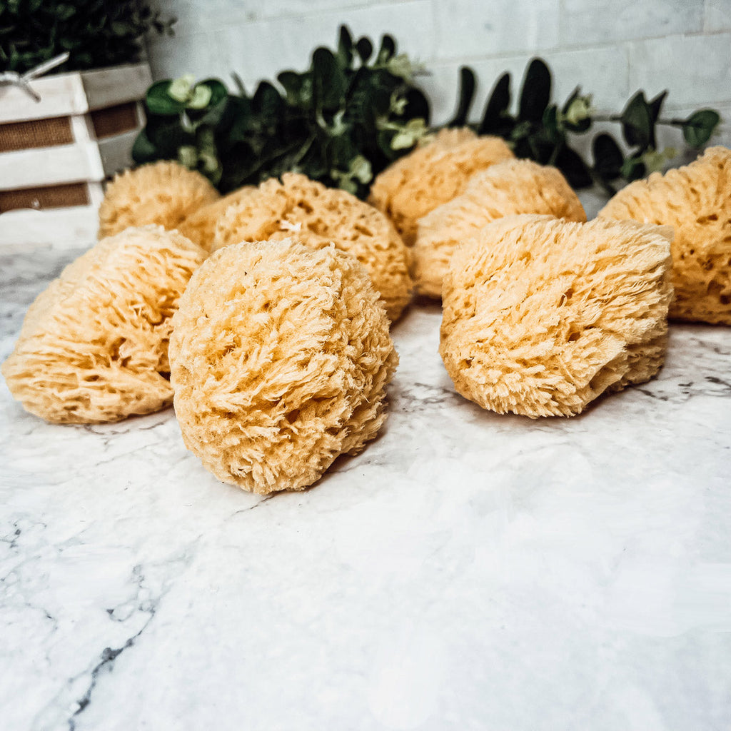 Dead Sea Sponge - Cart2u.ro