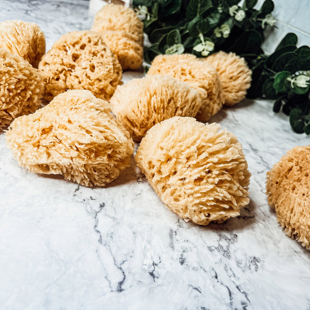 Dead Sea Sponge - Cart2u.ro