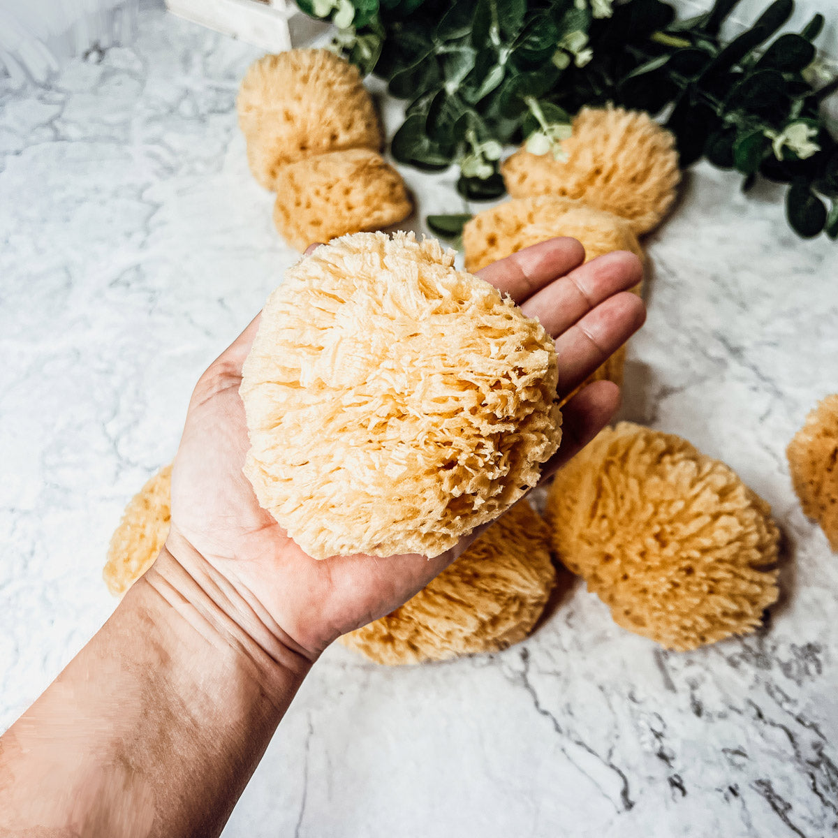 Dead Sea Sponge - Cart2u.ro