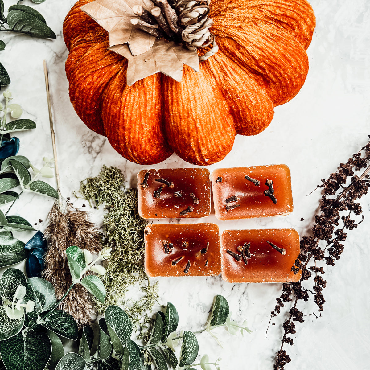 Fall Clove XL
