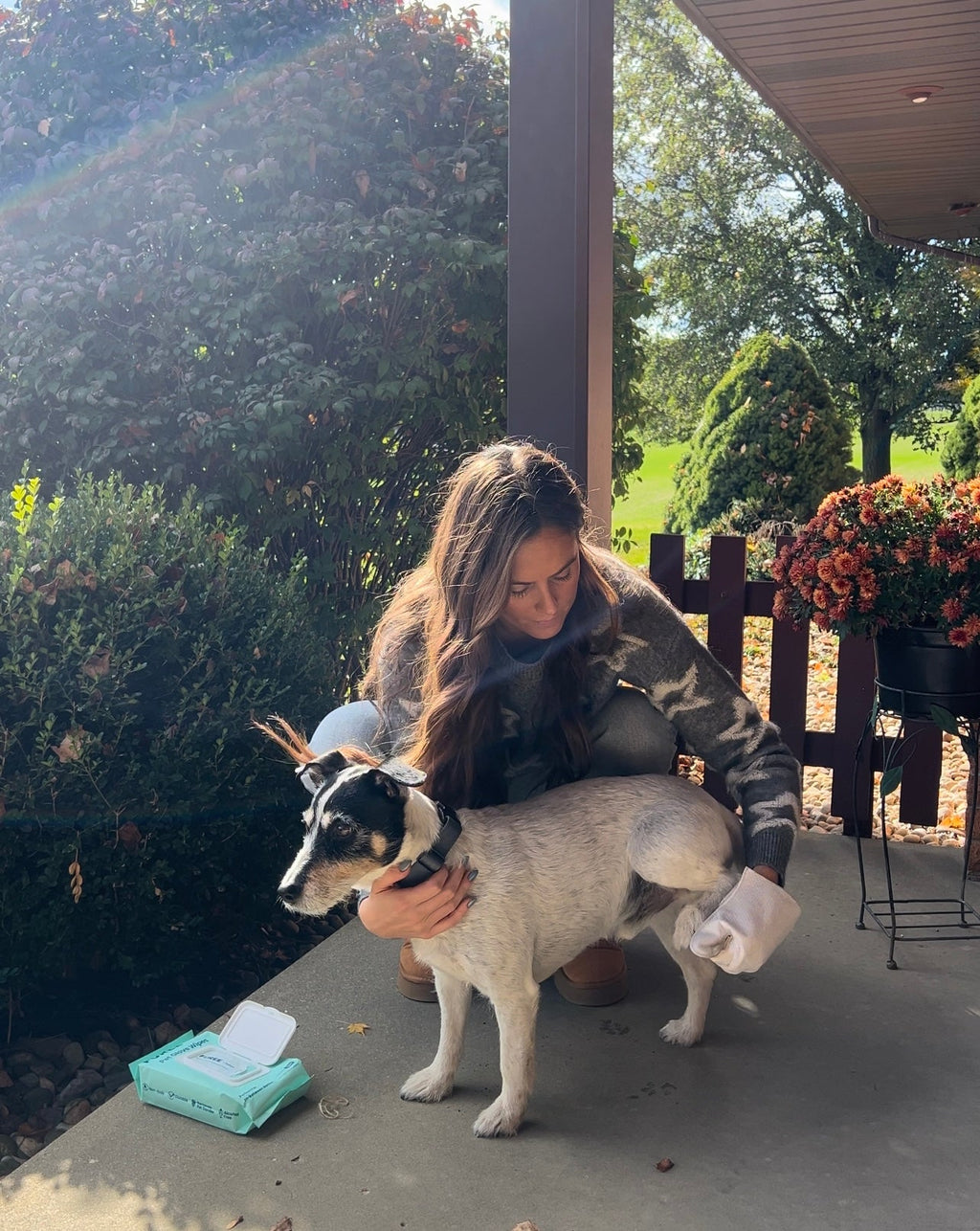 Pet Glove Wipes - Cart2u.ro