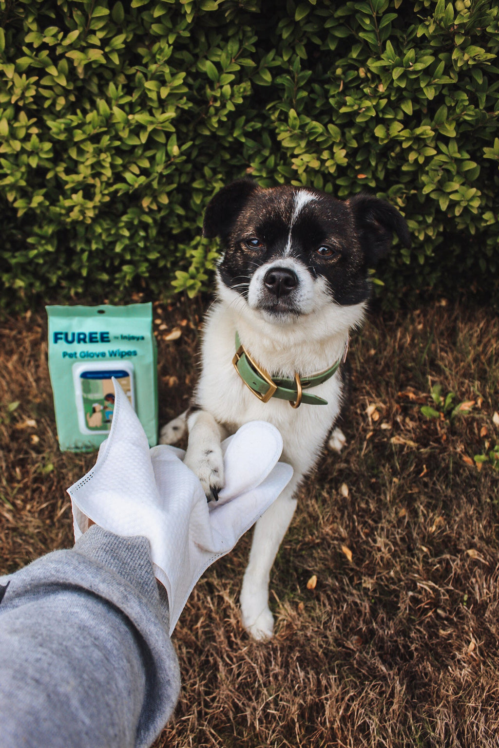 Pet Glove Wipes - Cart2u.ro