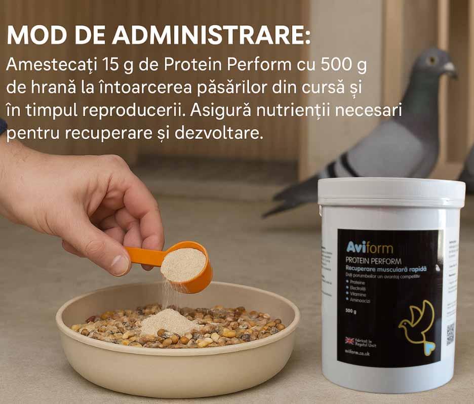 Aviform Protein Perform – Proteine 84% pentru porumbei de curse 500 g DalisPet