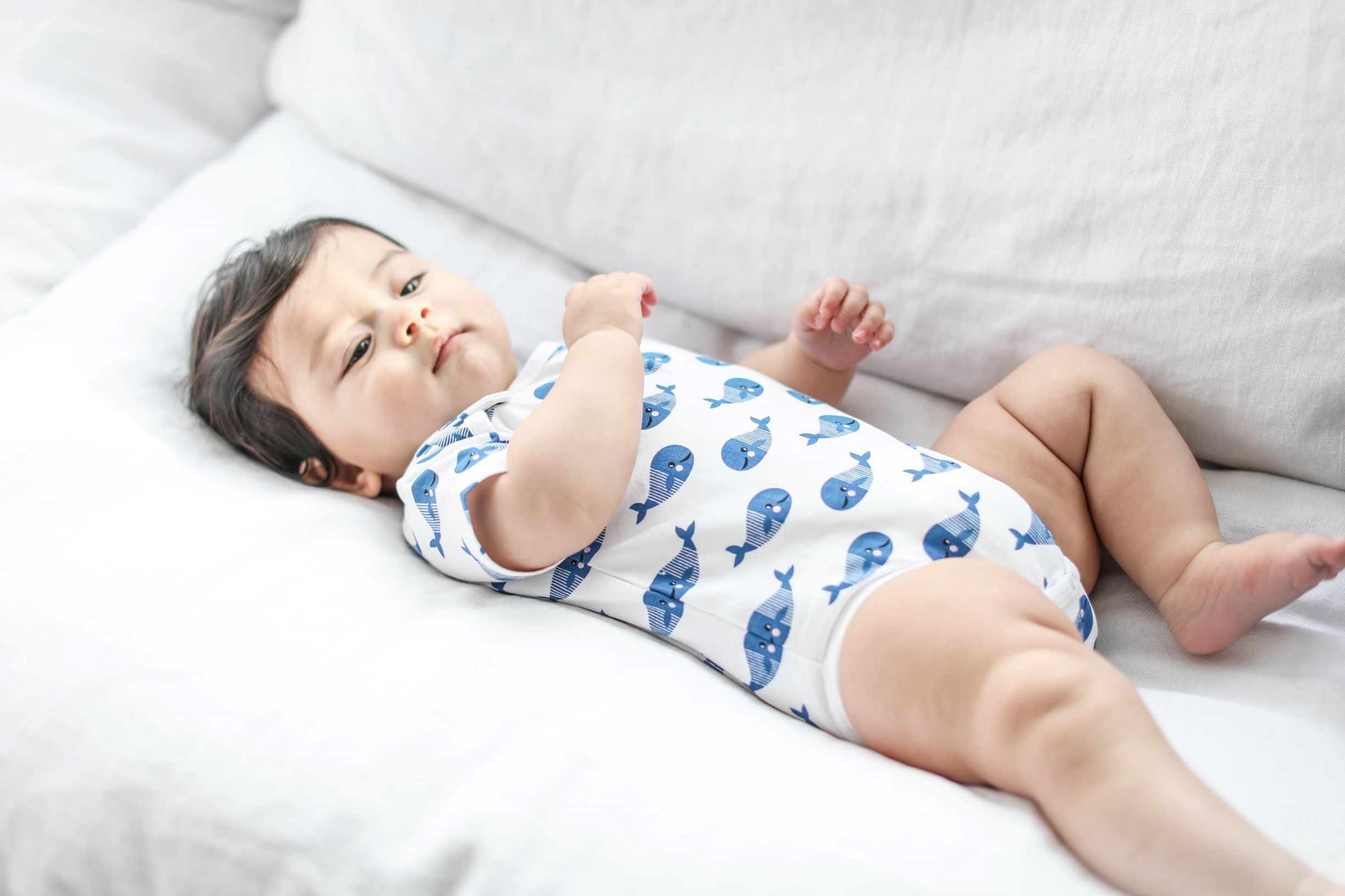 Smart Short Sleeve Baby Bodysuit + Bib - Blue Whale - Cart2u.ro