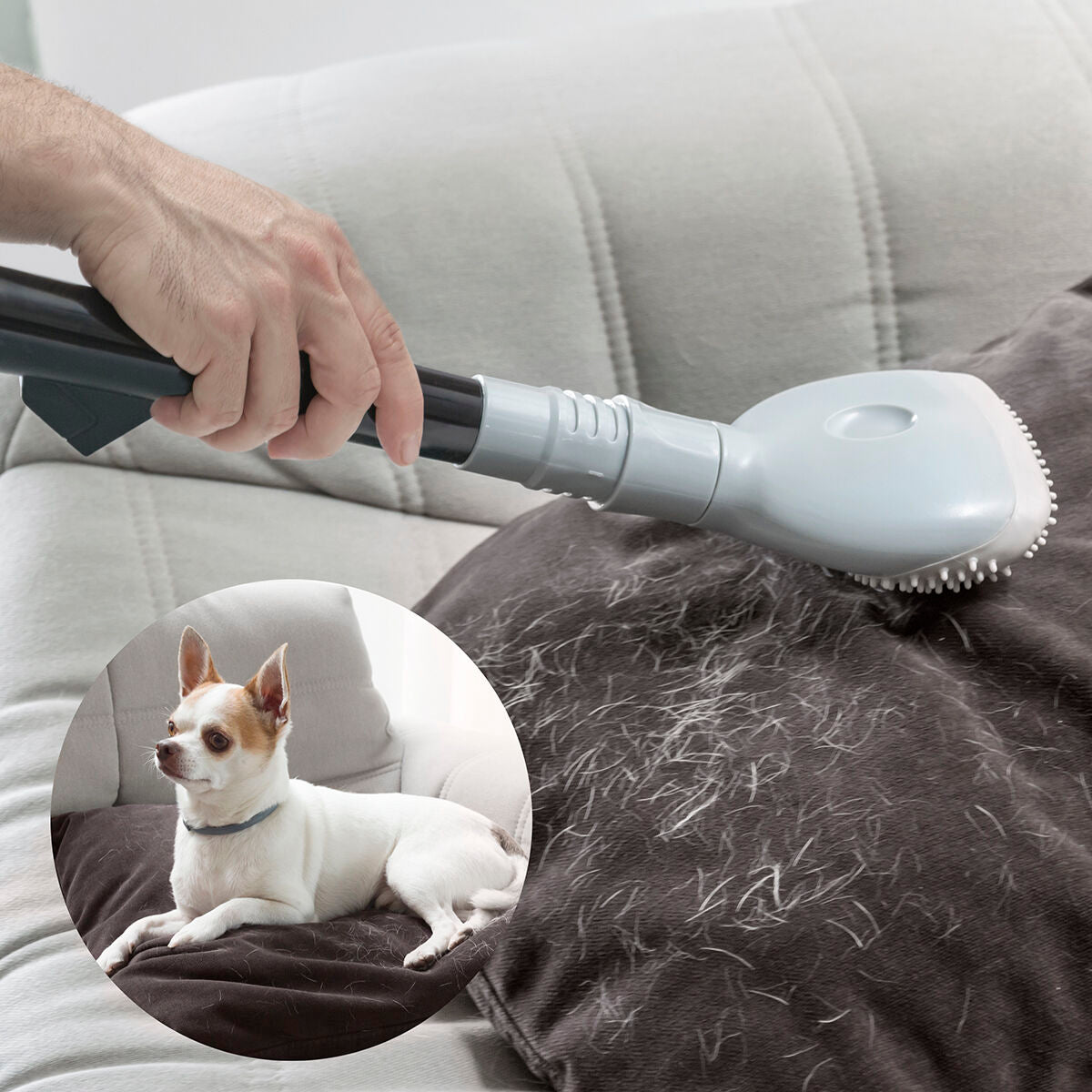 Perie pentru aspirator Smoovah InnovaGoods