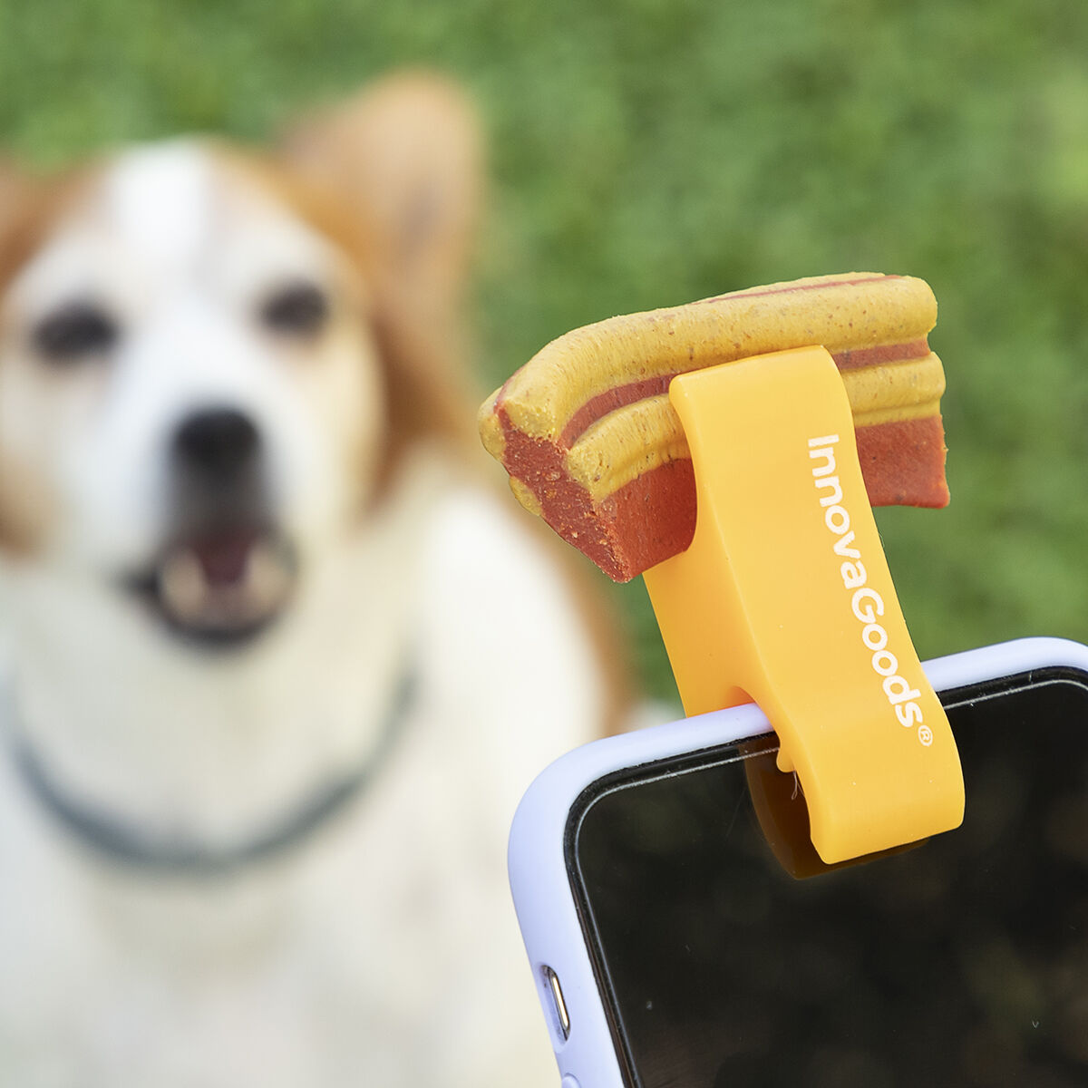 Selfie Clip for Pets Pefie InnovaGoods - Cart2u.ro