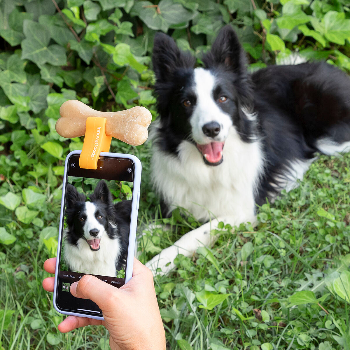 Selfie Clip for Pets Pefie InnovaGoods - Cart2u.ro