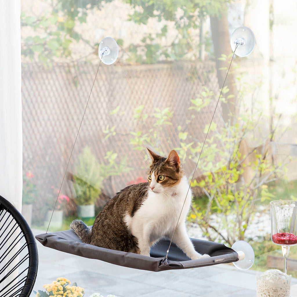Hanging Cat Hammock Catlax InnovaGoods - Cart2u.ro