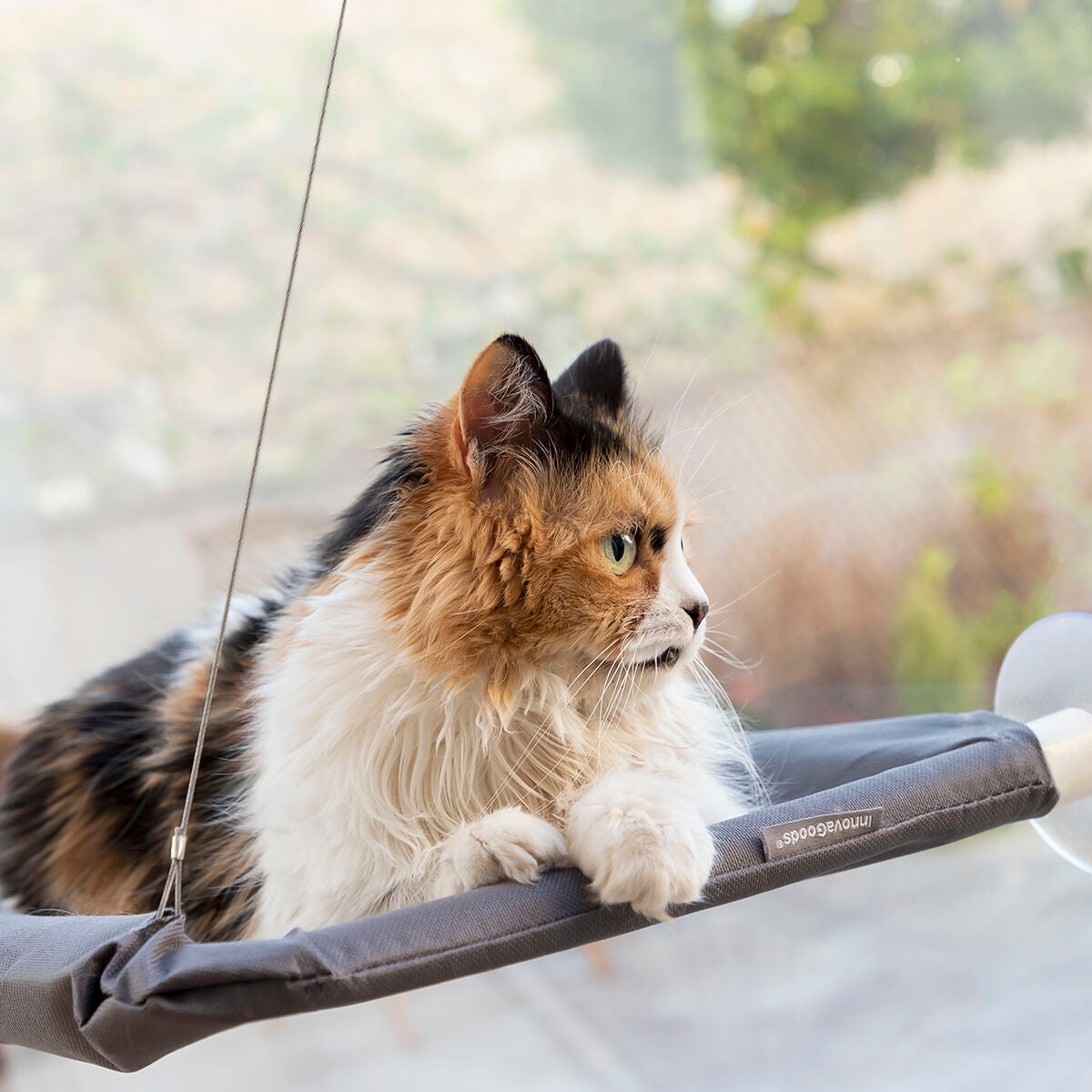 Hanging Cat Hammock Catlax InnovaGoods - Cart2u.ro