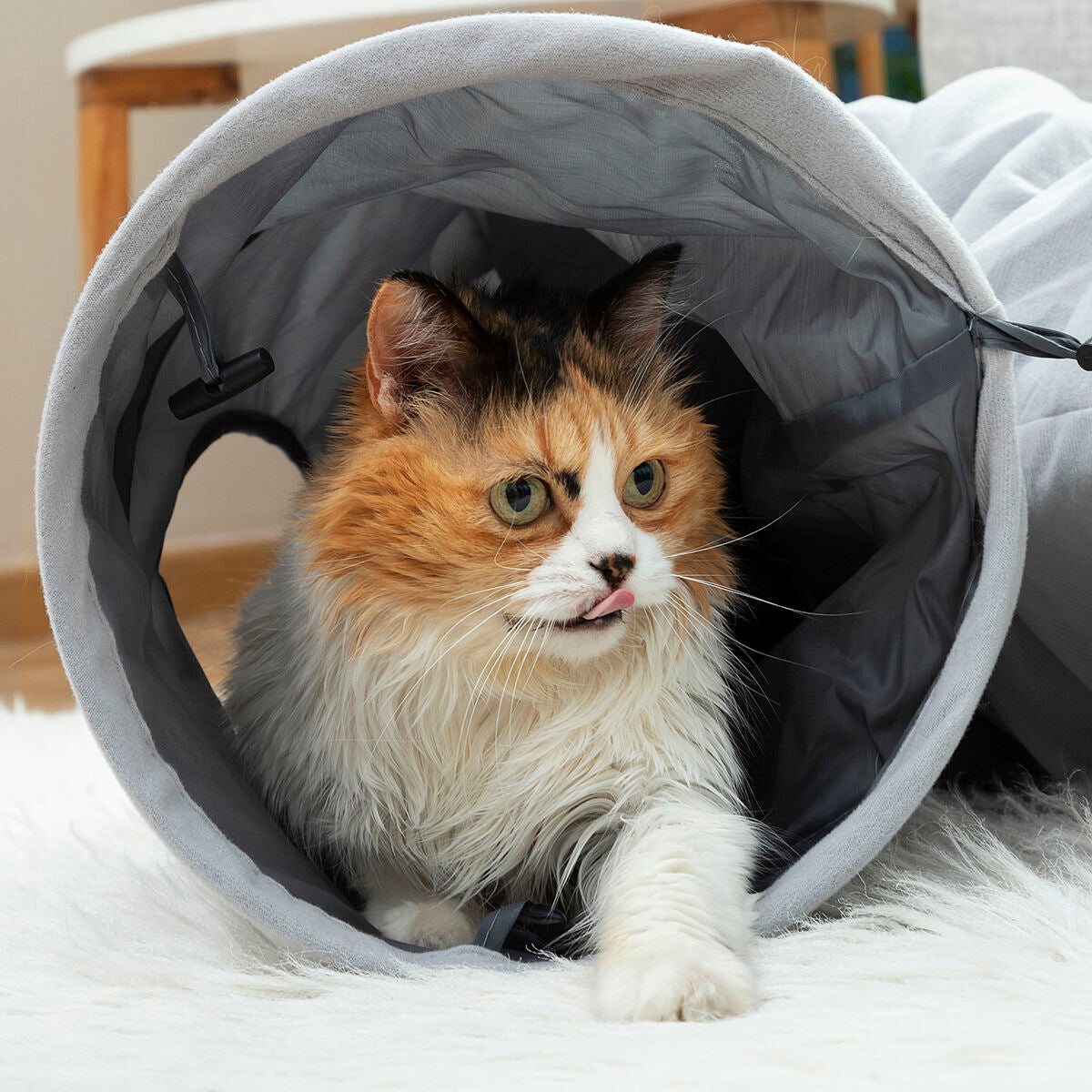 Collapsible Pet Tunnel Funnyl InnovaGoods - Cart2u.ro
