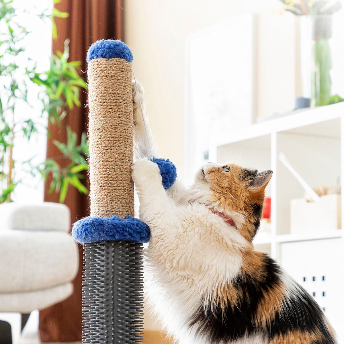 Cat Scratching and Massage Post with Ball Miausage InnovaGoods - Cart2u.ro
