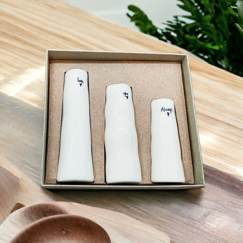 Mini Vase Gift Set - Cart2u.ro