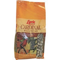 L07 2619065X Lyric Cardinal Wild Bird Seed - Cart2u.ro