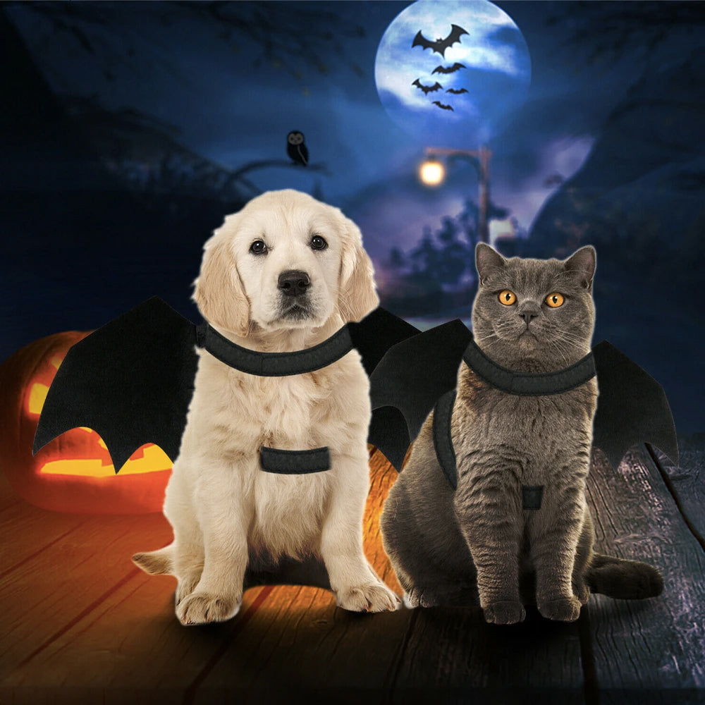 Halloween Pet Bat Wings Costume Cat and Dogs - Cart2u.ro