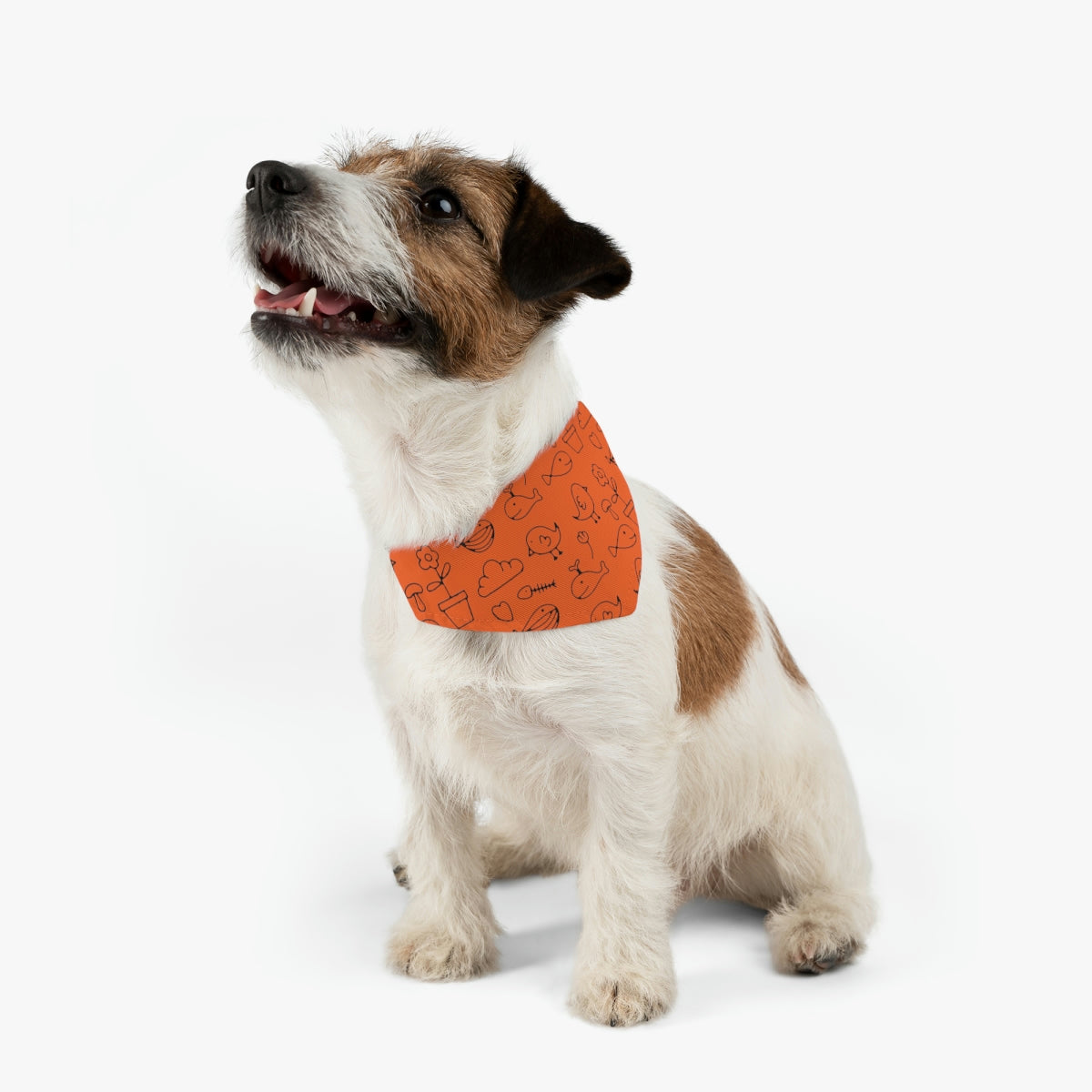 Pet Bandana Collar - Cart2u.ro