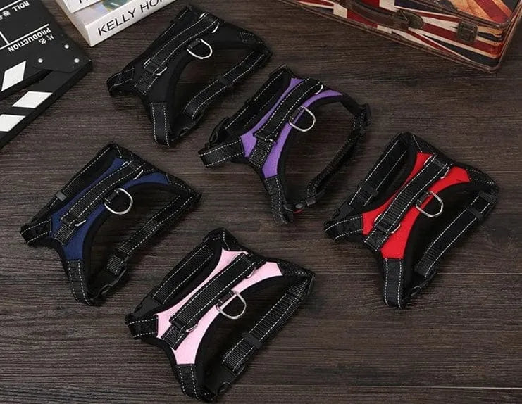 Ham ajustabil pentru câini, negru Petora
