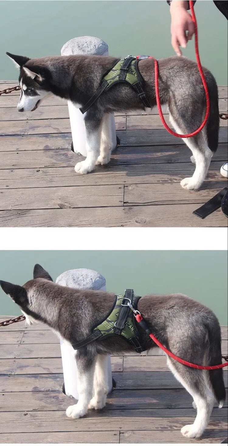 Ham ajustabil pentru câini, dark-camo Petora