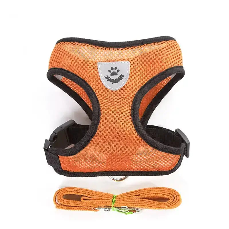 Set ham mesh respirabil pentru căței + lesă 1.5m, ajustare rapidă, galben Petora